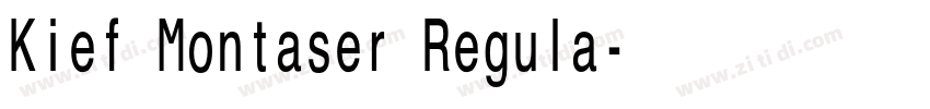 Kief Montaser Regula字体转换